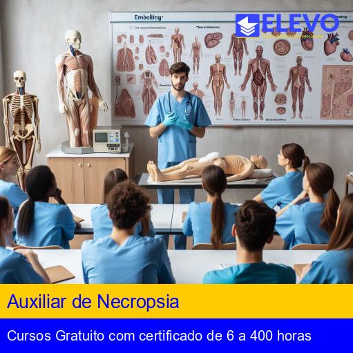 Auxiliar de Necropsia